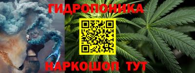 спайс Берёзовский