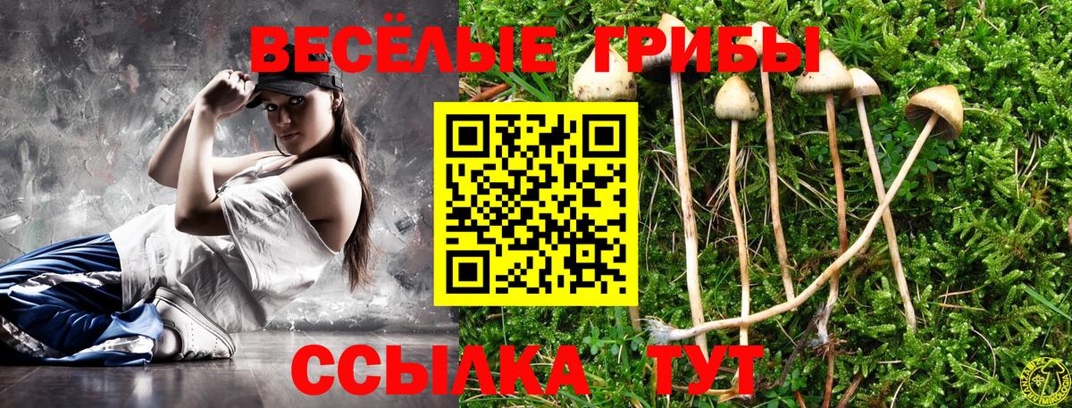 Галлюциногенные грибы GOLDEN TEACHER  Галлюциногенные грибы мицелий  Вход с VPN  Калач-на-Дону 